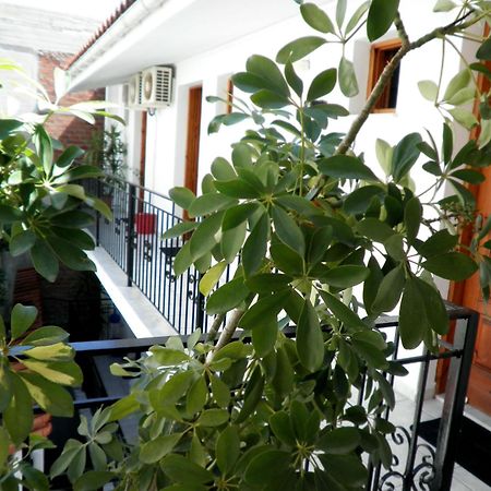 Mimoza Studios İskados Dış mekan fotoğraf